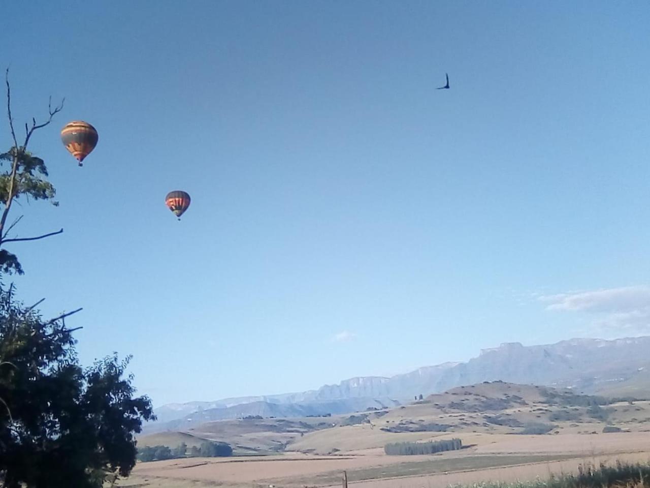 Inkungu Lodge Champagne Valley 외부 사진